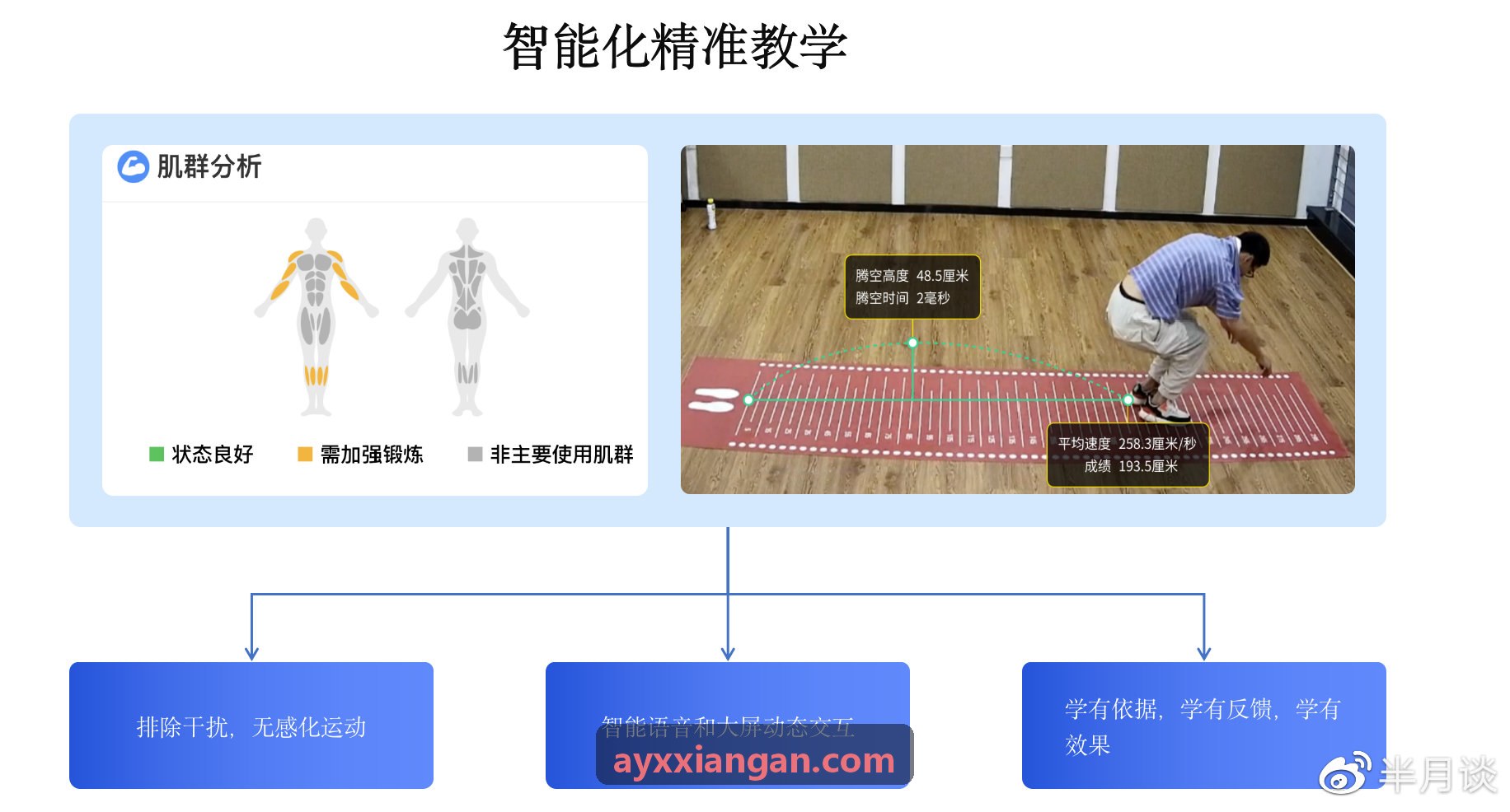 AYX运动生物力学曲线与三维建模